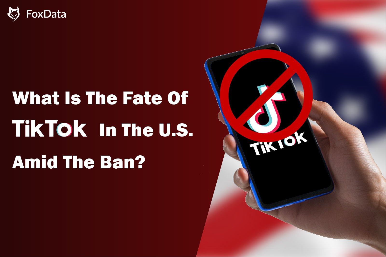 What Is The Fate Of TikTok In The U.S. Amid The Ban?