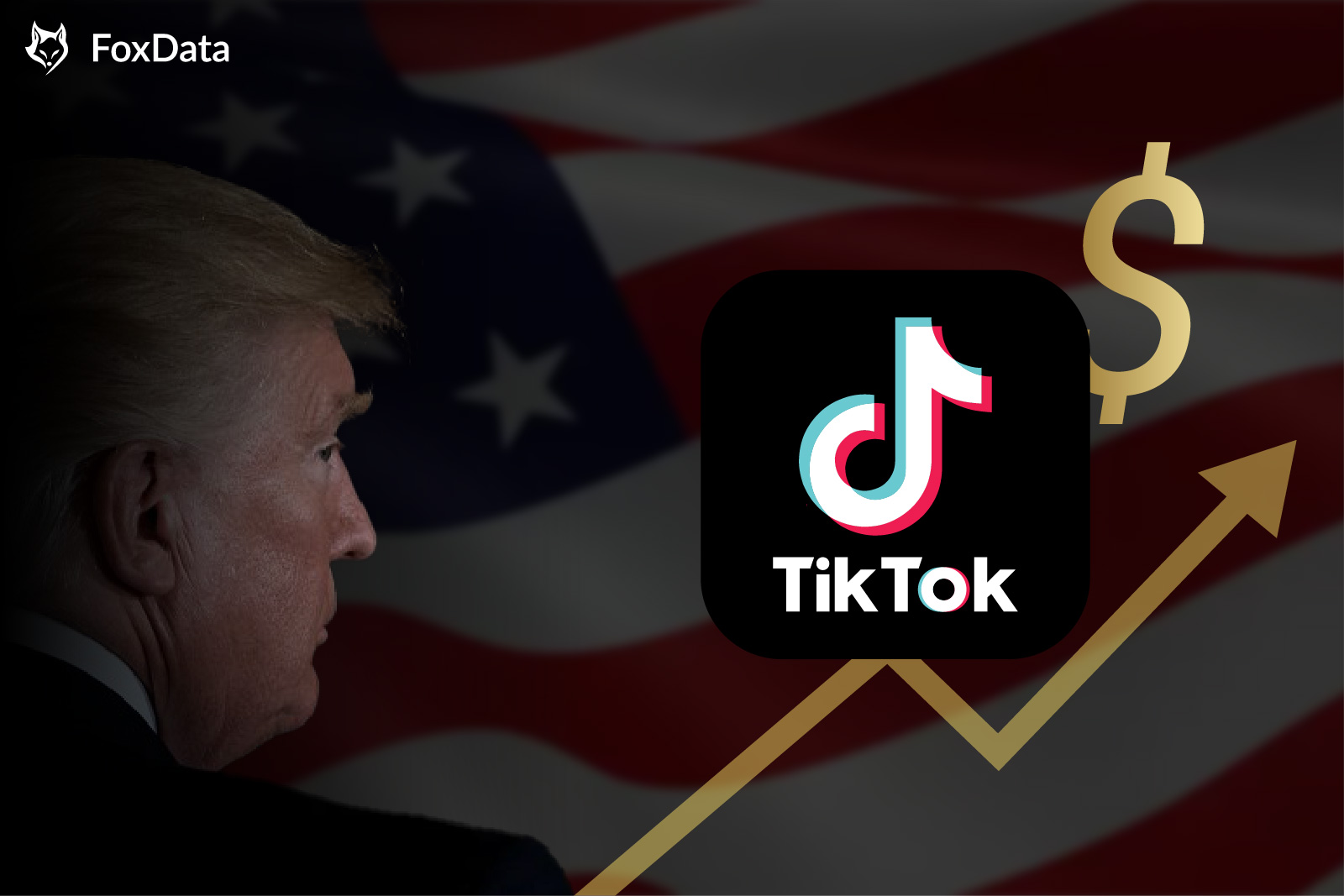 是什么让 TikTok 成为轰动一时的 “赚钱机器”？