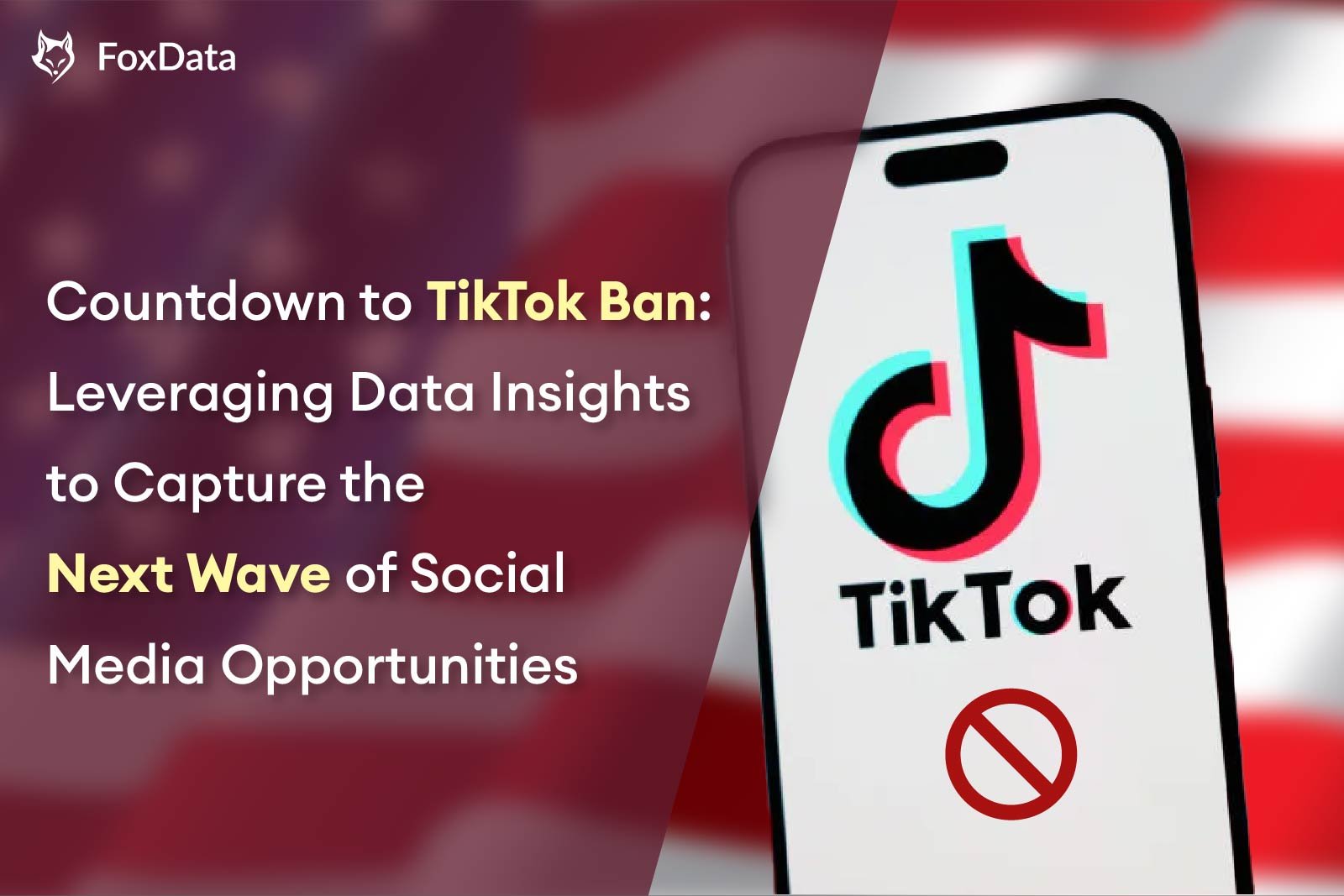 TikTok 금지 카운트다운: 데이터 인사이트로 소셜 미디어의 다음 기회를 선점하라