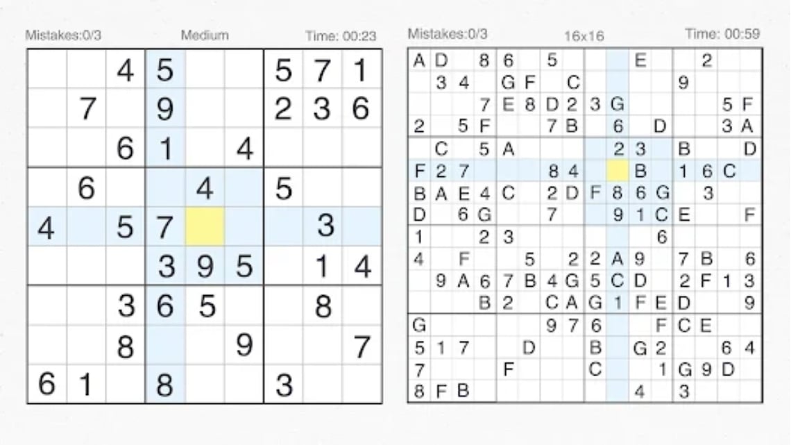 Sudoku Puzzle