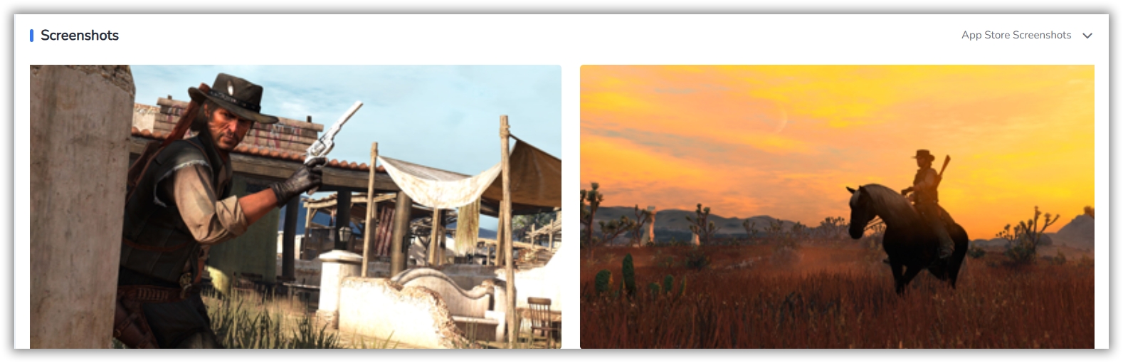 Red Dead Redemption sur Netflix